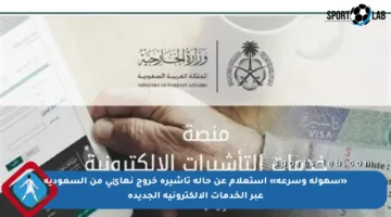 «سهولة وسرعة» استعلام عن حالة تأشيرة خروج نهائي من السعودية عبر الخدمات الإلكترونية الجديدة